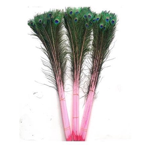 Feather Peacock L90-100 Natutal Pink