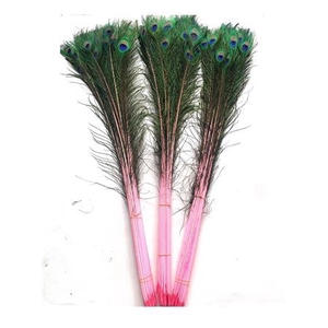 Feather Peacock Natural Pink P Stem