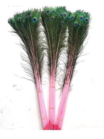 <h4>Feather Peacock L90-100 Nat. Pink</h4>