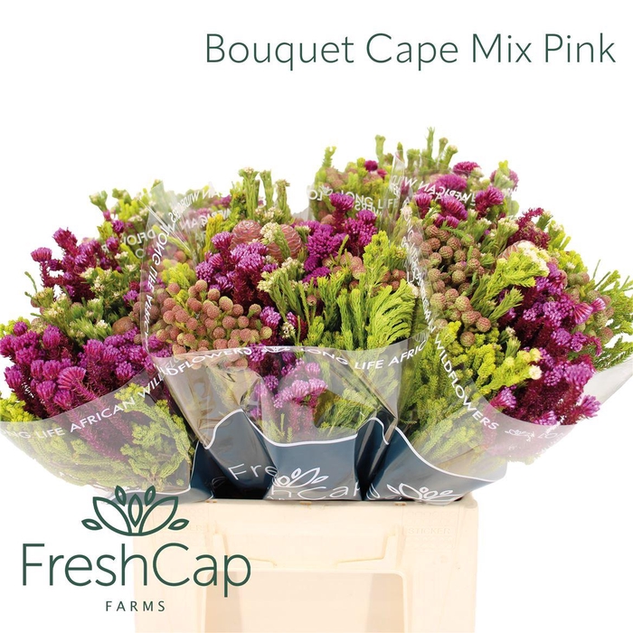 Bouquet Cape Mix Pink