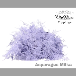 ASP OV GETOPT LANG MILKA