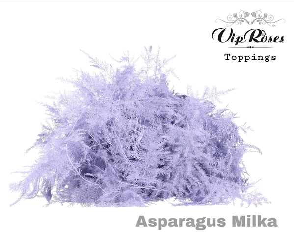 <h4>ASP OV GETOPT LANG MILKA</h4>