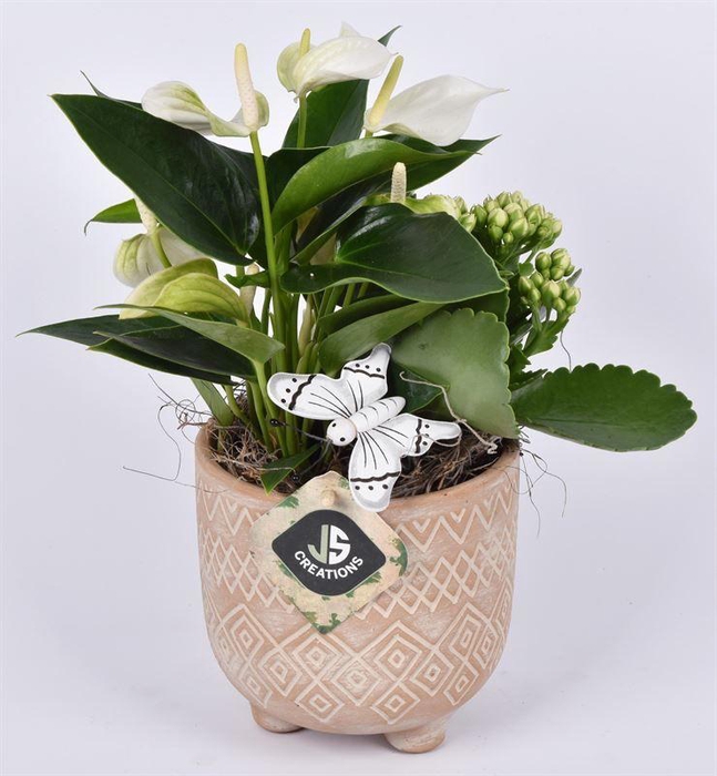 <h4>Cement met motief op pootjes 11,5cm</h4>