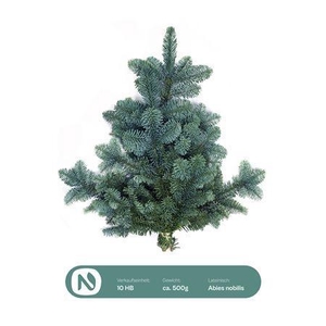ABIES NOB BLAU BUND