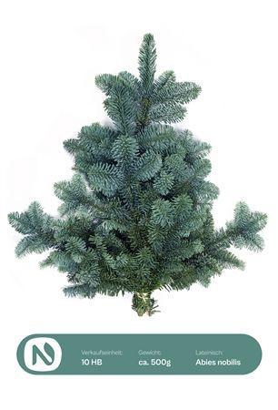 <h4>ABIES NOB BLAU BUND</h4>