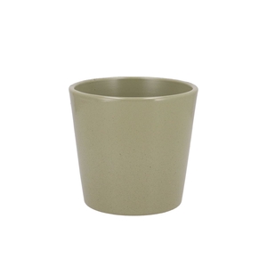 Ceramic Kiwi Stone Pot Orchid 14cm