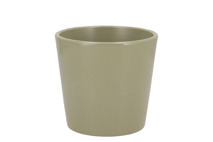 Ceramic Kiwi Stone Pot Orchid 14cm