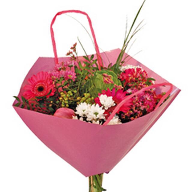 <h4>Hoes 35x35cm boekettas Bro-lux Fond roze +hengsel 400/ds</h4>