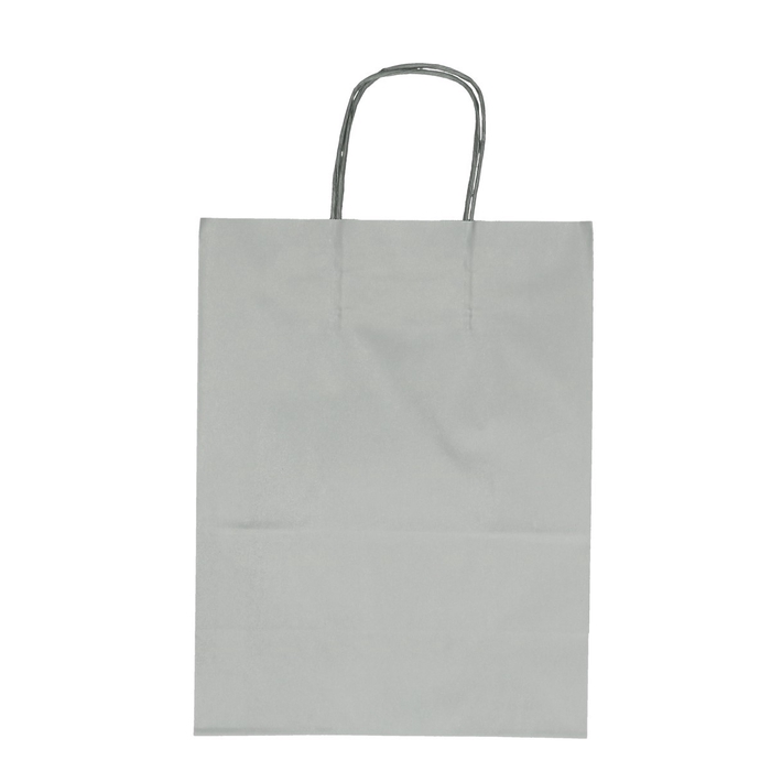 <h4>Bags Paper 23*12*30cm</h4>