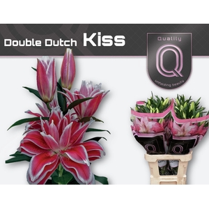 LI OR DU DD KISS 5+