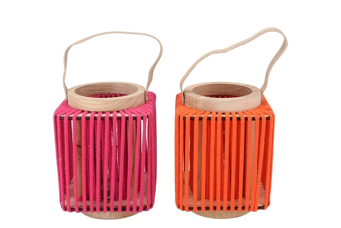 <h4>Cruz Orange Fuchsia Lantern Square Ass 13x16x20cm</h4>