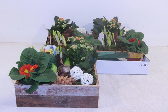 <h4>ARR PL IN SCHAAL</h4>