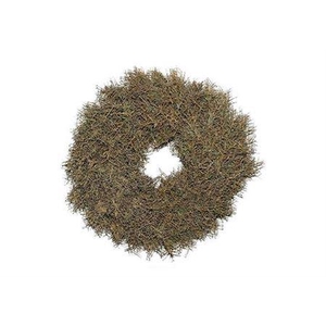 Wr Iron Bush 30cm Naturel