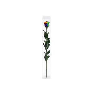 Ro Pres Stem 50cm Rainbow