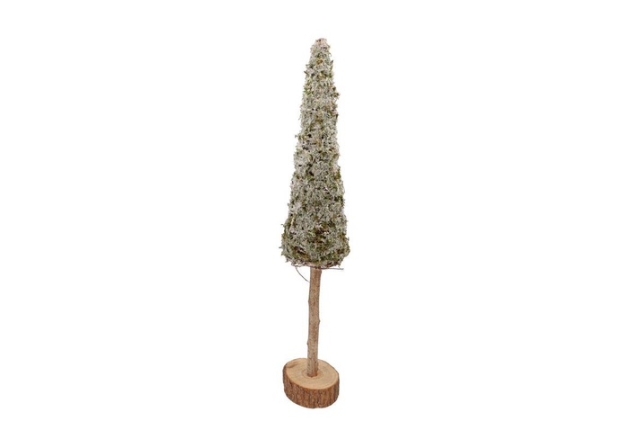 <h4>Festive Tree Pine Moss With Snow On Foot 13x13x80cm</h4>