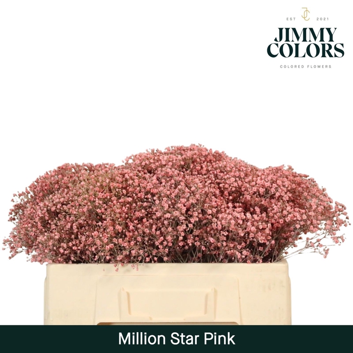 <h4>Gyps Million Star l50 Pink</h4>