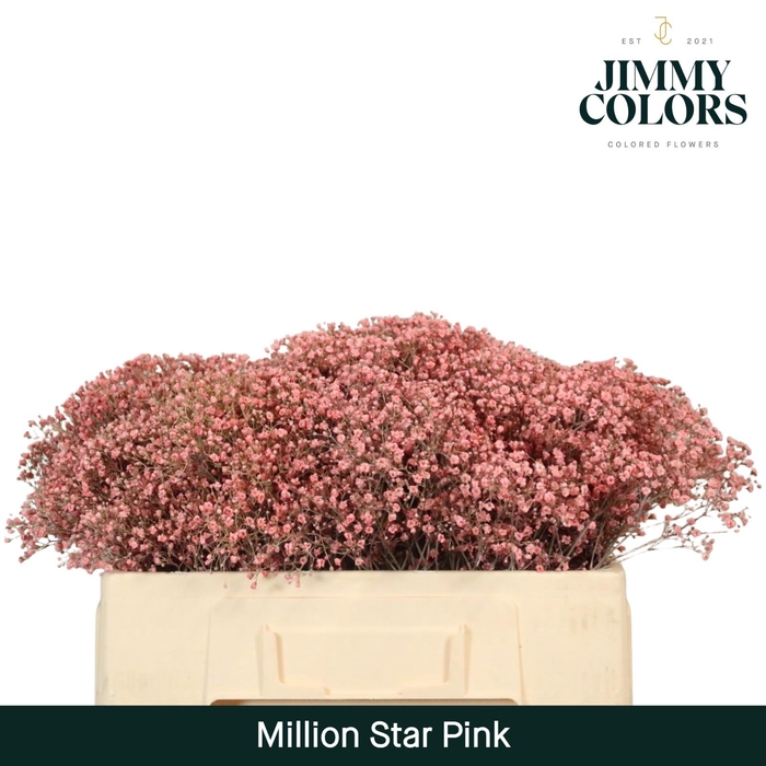 <h4>Gyps Million Star l50 Pink</h4>