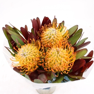 Bouquet Incl 3 Pin Wtih Safari