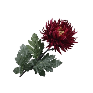 Chrysant Deco Bordeaux