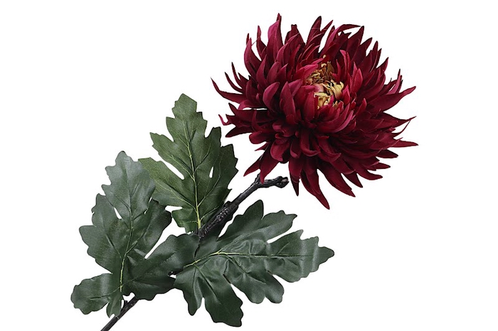 <h4>Chrysant Deco Bordeaux</h4>