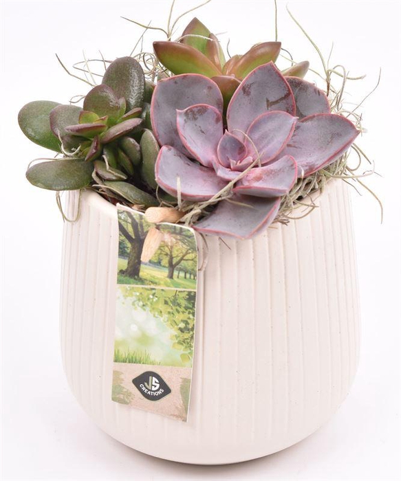 <h4>Keramiek vert.lines creme mat 12cm</h4>