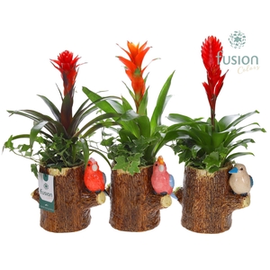 Keramiek boomstam planter met Arrangement