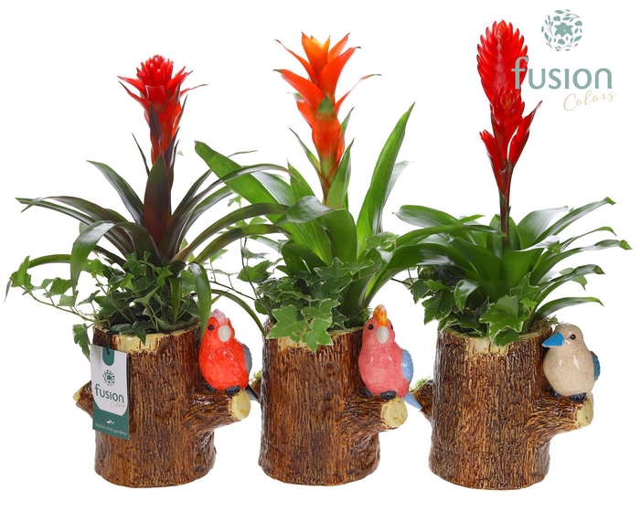 <h4>Keramiek boomstam planter met Arrangement</h4>