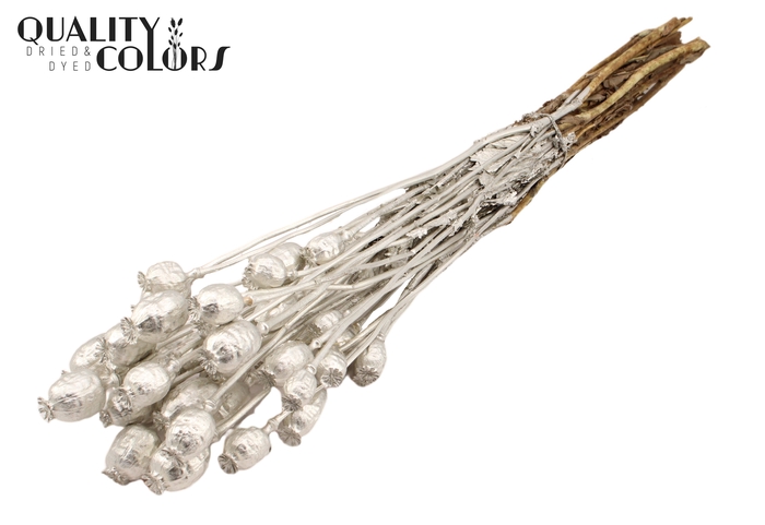 <h4>Papaver per bunch Platina</h4>