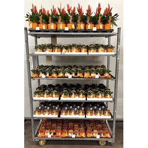 Mix CC diverse Halloween