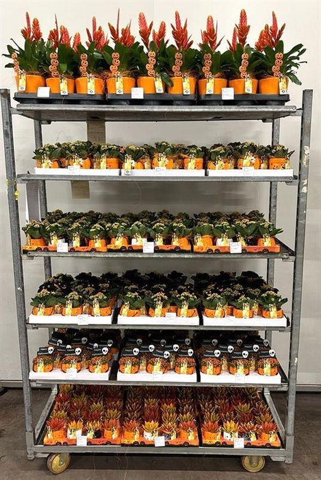 <h4>Mix CC diverse Halloween</h4>