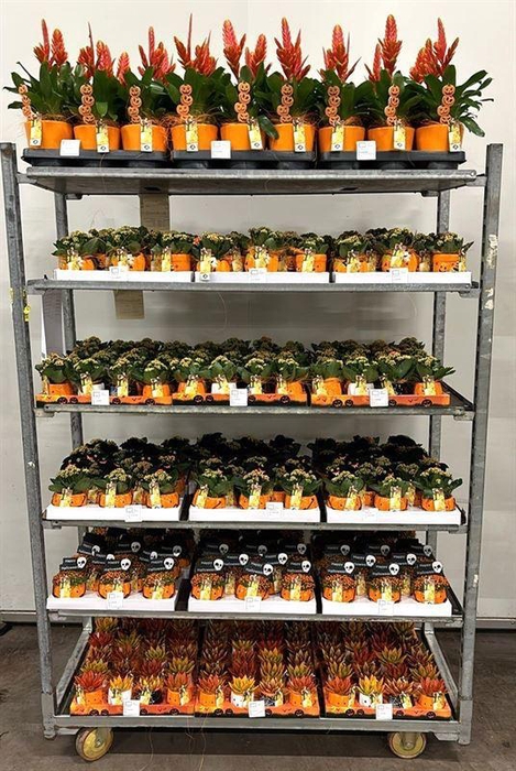 <h4>Mix CC diverse Halloween</h4>