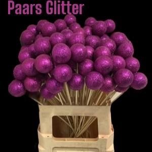 <h4>KERSTBAL OP STOK H%</h4>