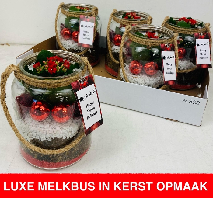 <h4>ARR KAMERPL</h4>