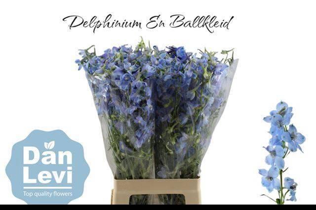 <h4>DELPH EN BALLKLEID</h4>