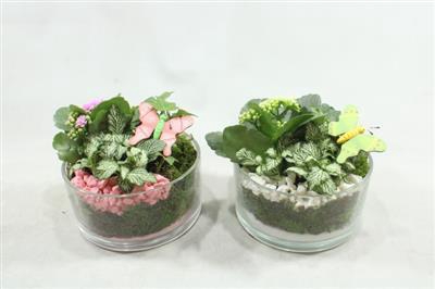 <h4>4893 GLAS DENTA CILINDER LAAG</h4>