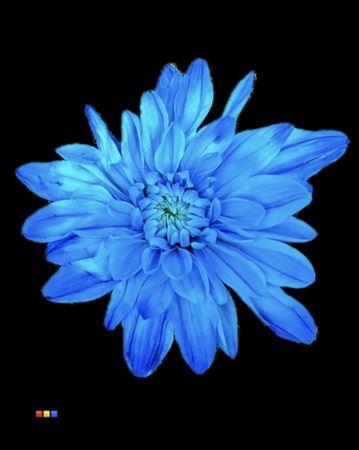 <h4>Chr T Baltica Light Blue</h4>