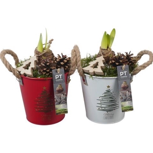 PTACH5860 Arrangementen Kerst