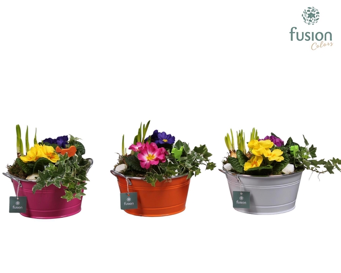 <h4>Schaal zink rond Voorjaar met Arrangement verschillende kleuren</h4>