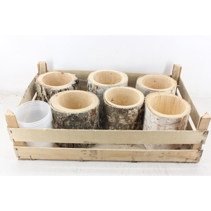 arr3 TM - Schors pot x6