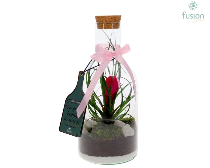 <h4>Green Bottle Fles Small met Tillandsia</h4>