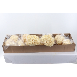 Hydr Preserved Almendra Jumbo