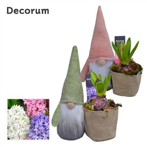 Hyacinth Mix Hl14412 Stoffen Gnoom