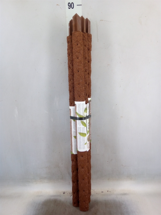 <h4>Decoratie  ..Klimstok composteer H%</h4>