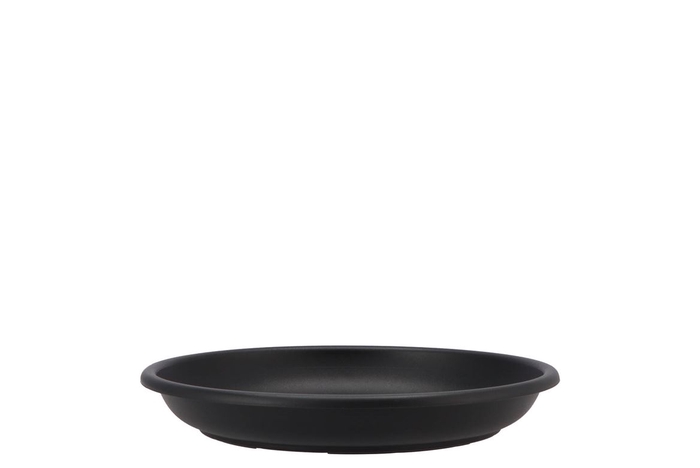 <h4>Floristry Plate 24cm P/10 Black</h4>