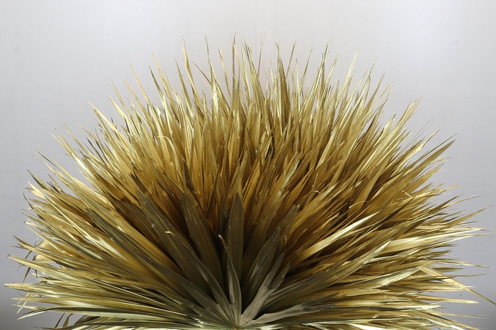 <h4>Palmetto Painted Gold</h4>