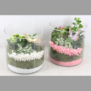 arr2 PL - Glas cilin. breed 285/5 - roze/wit