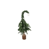 Festive Tree Artificial Pine Needle 30x30x80cm