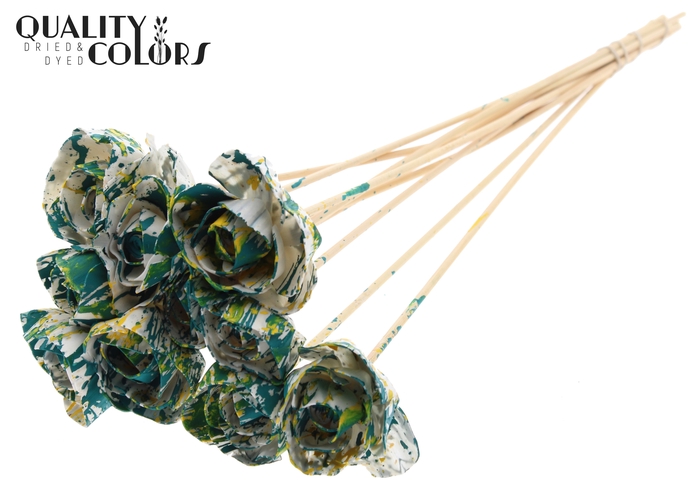 Shola Dear Holly 6cm on stem Multicolour Green/Yellow