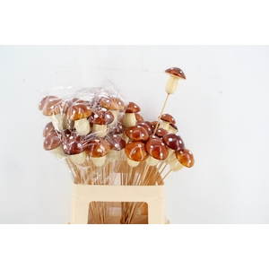 Stick Mushroom 6cm Brown