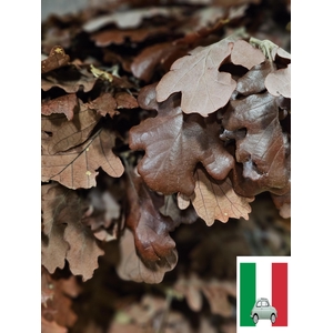 GESTABILISEERD EIK BURGUNDY